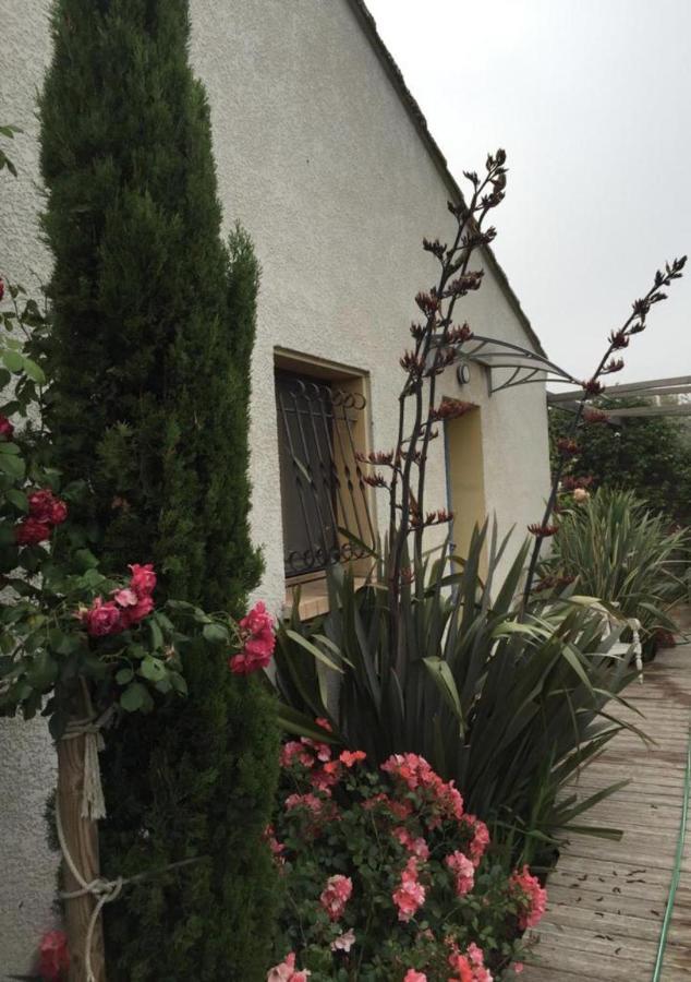 La Villa Vaihere En Camargue, L'Hibiscus Et Le Magnolia Saintes-Maries-de-la-Mer Exterior foto